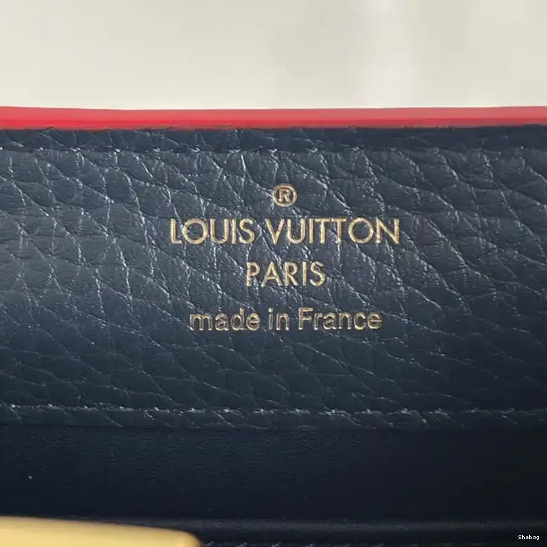 2110YA0096 LV Bags 0730